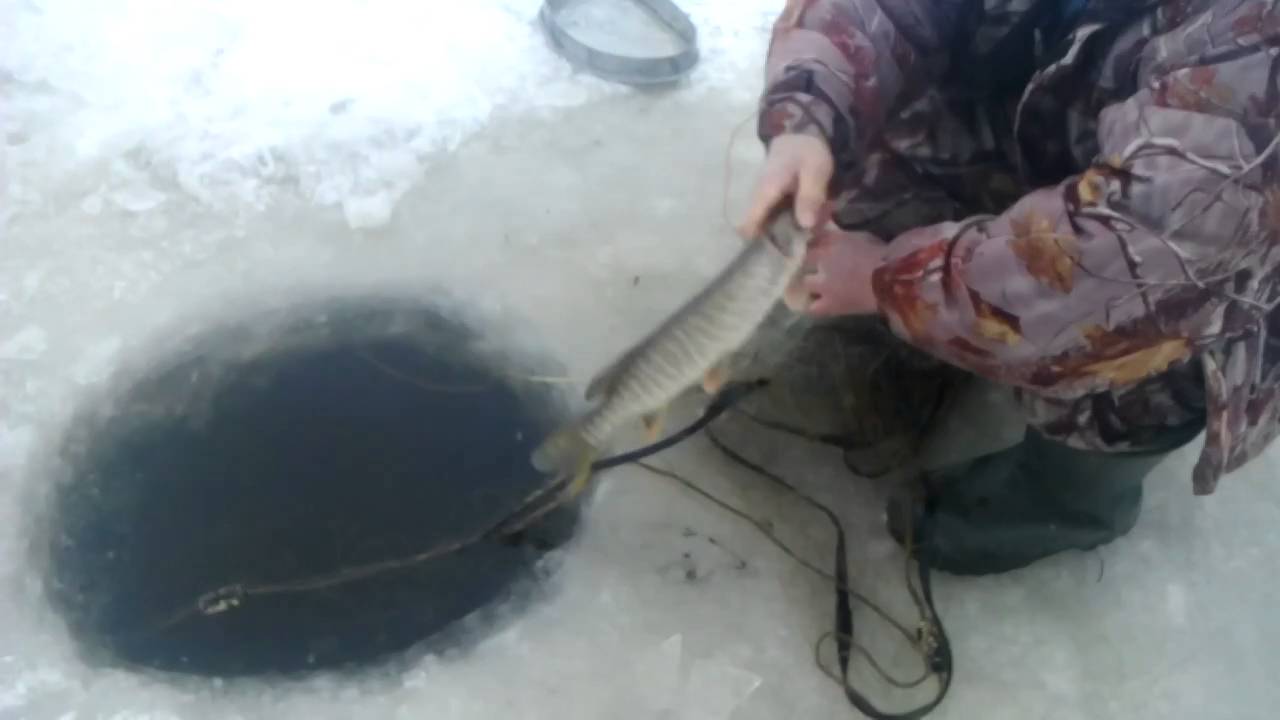 зимняя рыбалка на сети торпеда