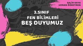 3 Sinif Duyu Organlarimiz