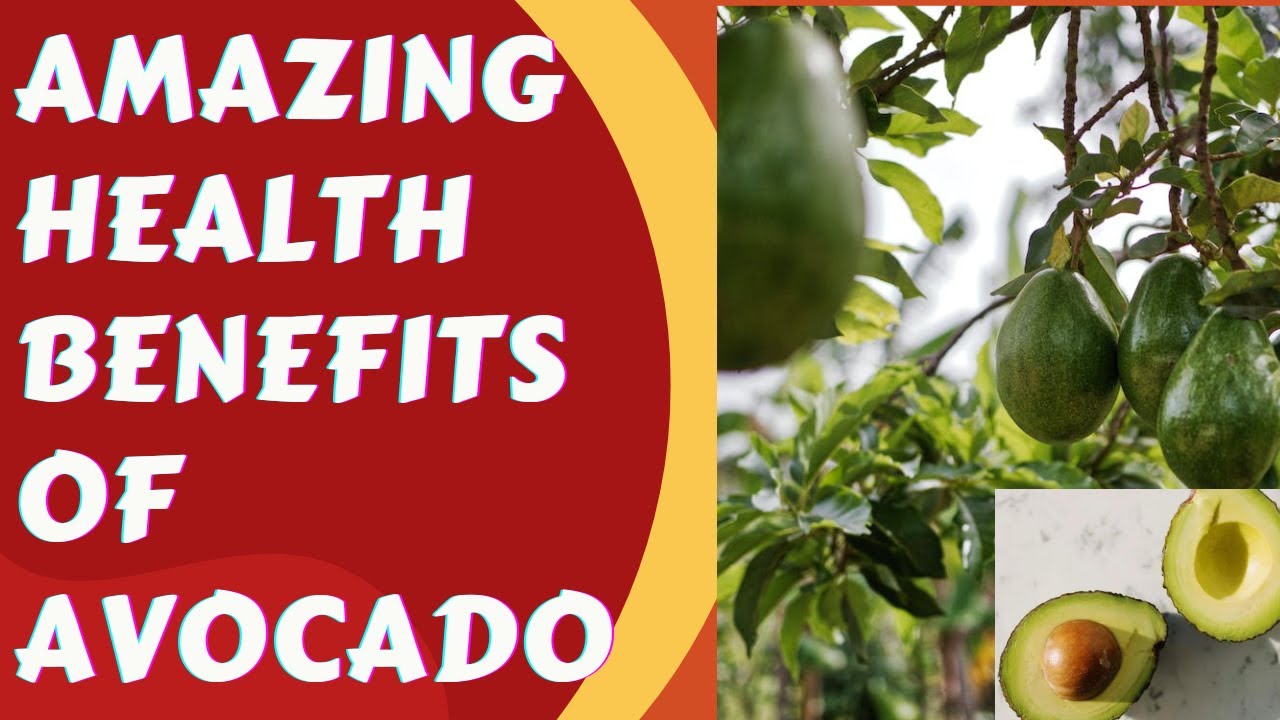 AMAZING HEALTH BENEFITS OF AVOCADO YouTube