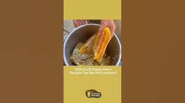 How much honey will a Top Bar Hive produce? #bees #beekeeping #honey