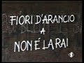 Non è la Rai - Fiori d'Arancio a Non è la Rai - Matrimonio Antonella Mosetti puntata 26 luglio 1995