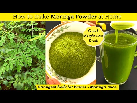 HOW TO MAKE MORINGA POWDER AT HOME | STRONGEST BELLY FAT BURNING DRINK | WEIGHT LOSS RECIPE |