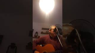 Soner Yaran El Gibi