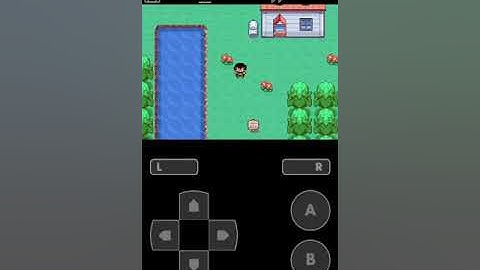 WALK THROUGH WALLS cheat for Pokemon Ash Gray