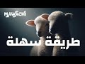 طريقة سهلة لضمان حملين للأغنام في السنة طريقة سهلة لضمان حملين للأغنام في السنة