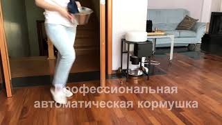 Автоматическая кормушка для животных Автоматическая кормушка для животных
