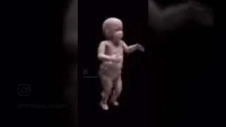 Celebrity Almost 20 years old 😂 Net Worth