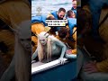 Crew discovers a mermaid 😳🌊🧜‍♀️                         🎥: Instagram / aliaboutine