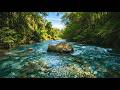 LIVE RIVER FLOW ASMR – CALMING NATURE SOUNDS FOR DEEP SLEEP, MEDITATION &amp; FOCUS