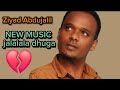 Sirba Jalala Dhuga Oromo Music Top Love Oromo Music Ziyad Abdujalil Top 1 Music Oromo Ethiopian 26 