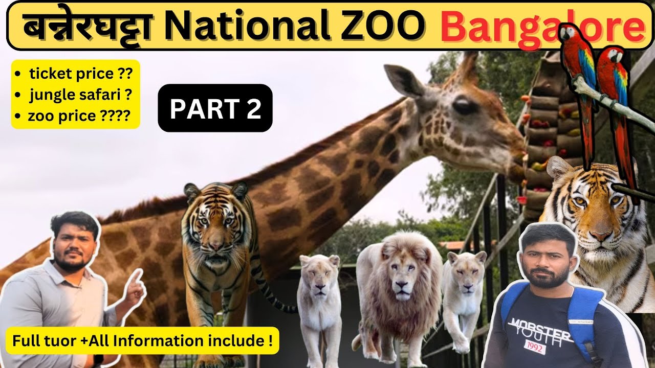 WILD Adventure Awaits at Bannerghatta Zoo!