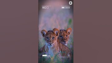 Editing a CapCut Template??? #music #edit #capcut #template #shortvideo #shorts