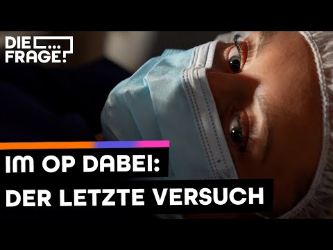 Embryotransfer (2/3): Scheitert ihr Kinderwunsch?