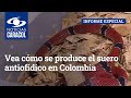 Vea cómo se produce el suero antiofídico en Colombia