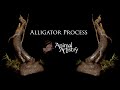 Animal artistry  alligator taxidermy process