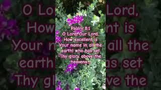 Psalm 8:1- How Excellent Is Your Name