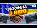 Пинтковский: Запад больше не боится последствий вступления Украины в НАТО