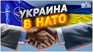 Пинтковский: Запад больше не боится последствий вступления Украины в НАТО
