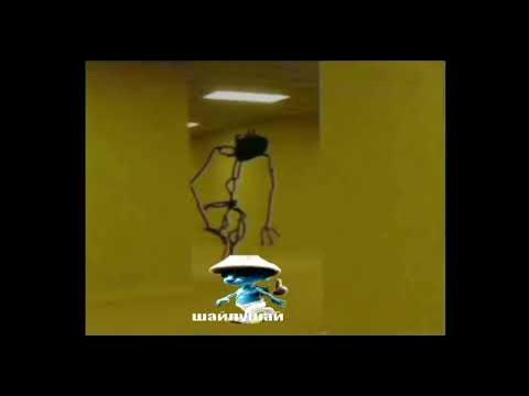 песня шайлушая без слов