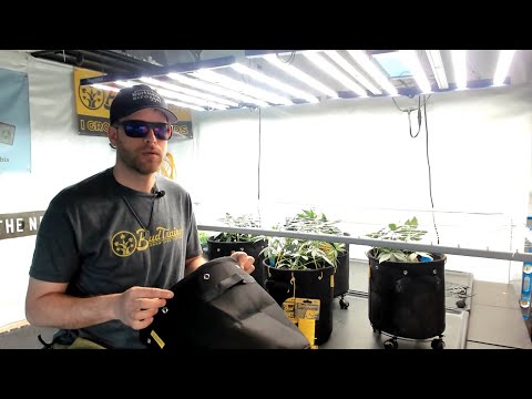 Northern Scrogger has a message for hydroponics stores