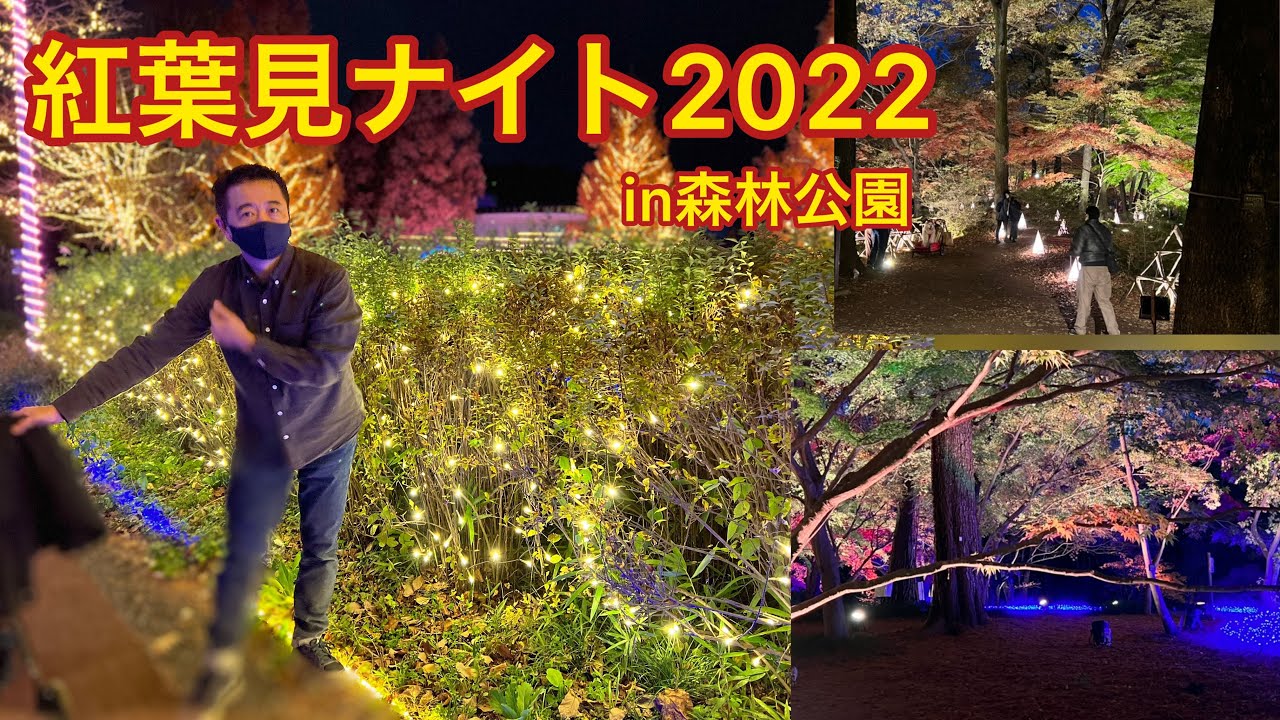 武蔵丘陵森林公園で紅葉見ナイト22 22 11 21 Youtube