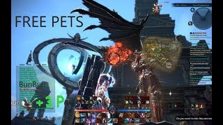 TERA: How to get your free new pets, and a special power increasing pet! | PART 66