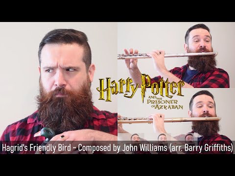 Hagrid's Friendly Bird (Secrets of the Castle) Harry Potter & the Prisoner of Azkaban // FLUTE COVER