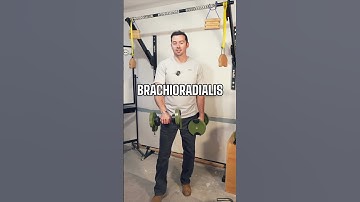 Increase Pull Up Power | Brachioradialis
