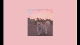 Download lagu Mitski • Nobody • speed up