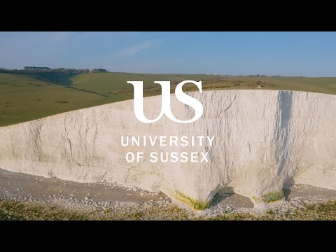 University of Sussex - Global Engagement