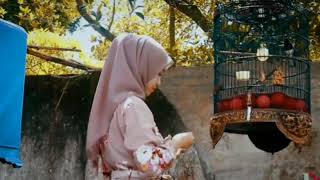 Story Manuk cilik pahlawanku