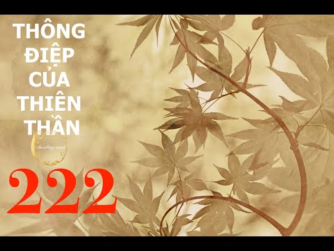 Video KHI BẠN NHÌN THẤY SỐ 222 || Ý NGHĨA TÂM LINH, TÌNH... - youtube