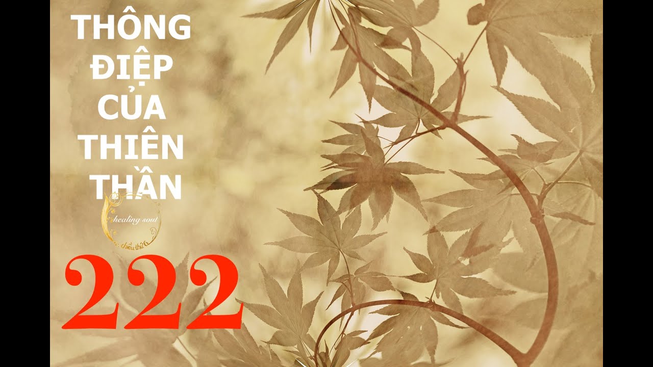 KHI BẠN NHÌN THẤY SỐ  222 || Ý NGHĨA TÂM LINH, TÌNH YÊU, TWINFLAMES, SOULMATE ||CHIỀU THỨ 6
