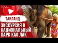 🌴 Экскурсия с Пхукета в национальный парк Као Лак с катанием на слонах + Рафтинг 2023