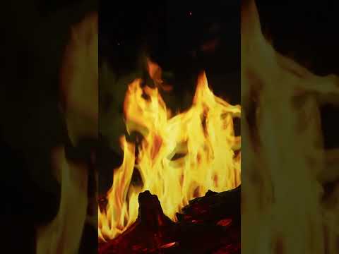 Video: Wat is kunsmisbrand: hoe om kunsmisbrand te behandel