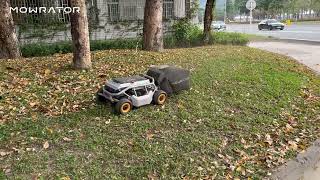 Mowrator S1 | Powerful Leaf Vacuum