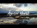 Agusan Marsh Wildlife Sanctuary | Aerial & Cinematic View of Agusan Marsh Agusan del Sur Philippines