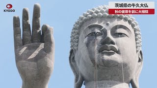 【速報】茨城県の牛久大仏 秋の彼岸を前に大掃除