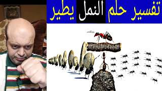 تفسير حلم النمل يطير في المنام | محمود منصور