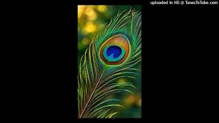 AUD-20260923-WA0008