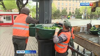 «Надеемся на благоразумие горожан»: в Хабаровске зафиксировали кражи и порчи цветов на улицах города