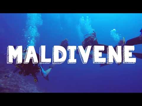Video: Bokhandlerjobb På Maldivene