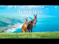 Animals of australia 4k  scenic wildlife film with calming music
