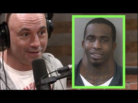 Joe Rogan on the "Neck Guy"