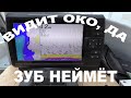 Видит око, да зуб неймет! Много судака в эхолоте Garmin, но поймать не могу! Тепленькая пошла!