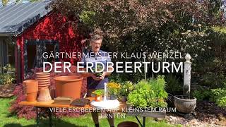 Erdbeeren in einem Turm pflanzen