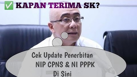 UPDATE PENERIMAAN NIP CPNS DAN NI PPPK 2021. TERIMA SK_nya KAPAN?