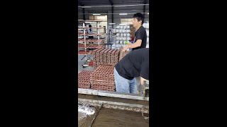 Plastic wood grain water transfer printing process