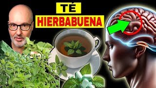 DISEASES THAT HEAL WITH PEPPERMINT TEA (HOW TO USE IT)