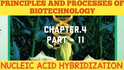 12th bio-botany chapter-4. Principles And Processes Of Biotechnology (NUCLEIC ACID HYBRIDIZATION)